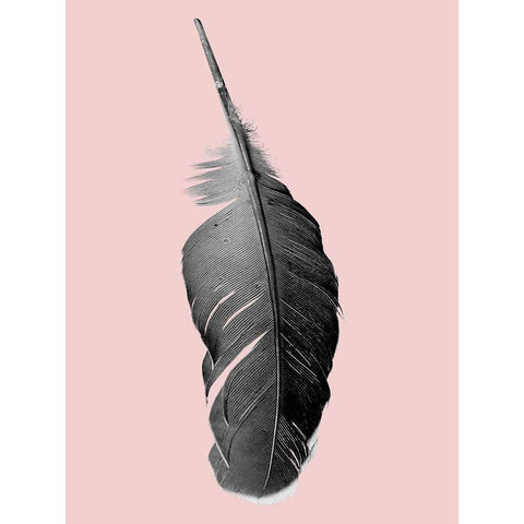 Pink Flight White Modern Wood Framed Art Print by Phillip, Jamie