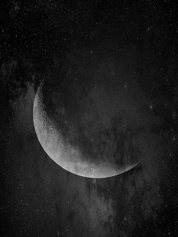 Moon Black Ornate Wood Framed Art Print with Double Matting by Phillip, Jamie