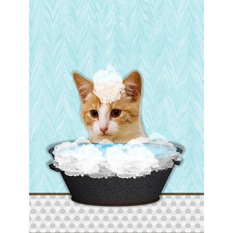 Catty Bath White Modern Wood Framed Art Print by Phillip, Jamie