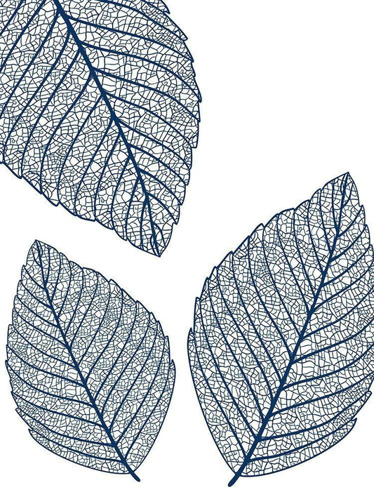 Image Only