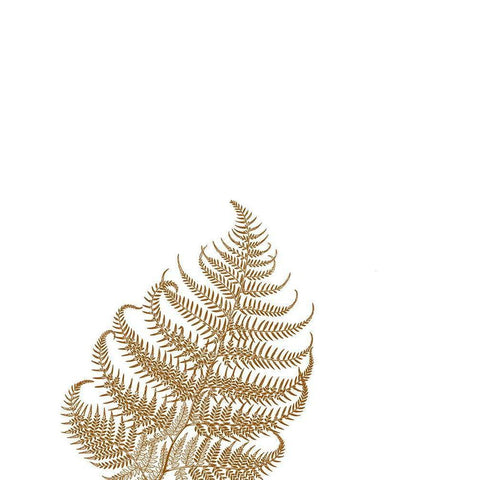 Gold Fern 3 White Modern Wood Framed Art Print by Phillip, Jamie