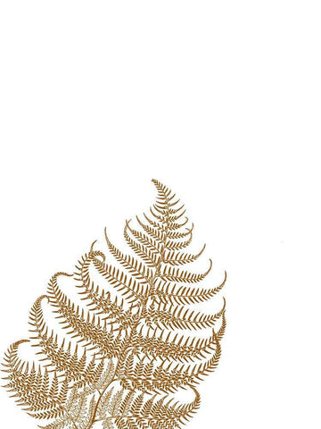 Gold Fern 3 White Modern Wood Framed Art Print with Double Matting by Phillip, Jamie