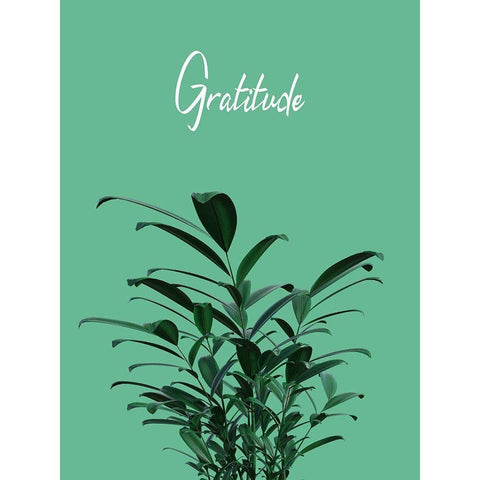 Gratitude Black Modern Wood Framed Art Print with Double Matting by Phillip, Jamie