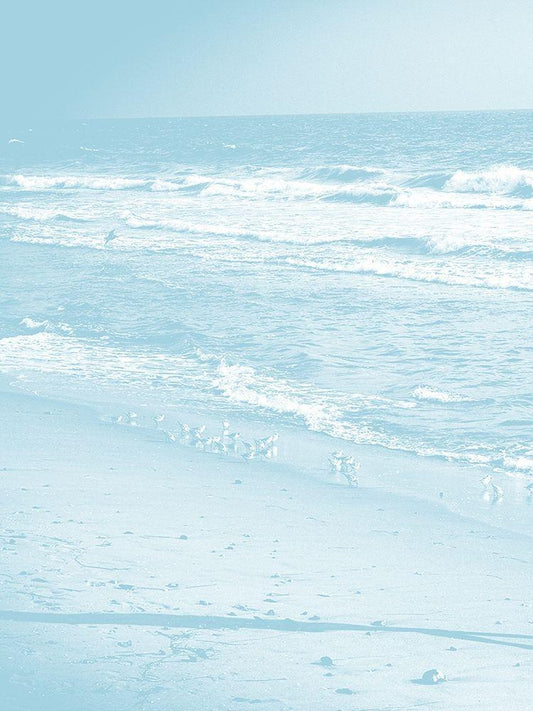 Image Only