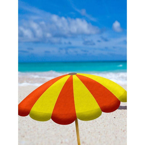 Beach Cat Black Modern Wood Framed Art Print with Double Matting by Phillip, Jamie