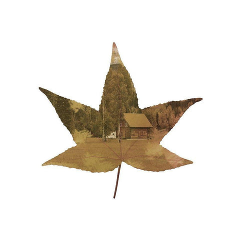 Cottage Leaf 2 White Modern Wood Framed Art Print by Phillip, Jamie