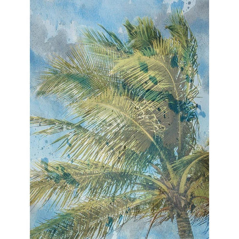 Palm  Tree Black Modern Wood Framed Art Print with Double Matting by Phillip, Jamie