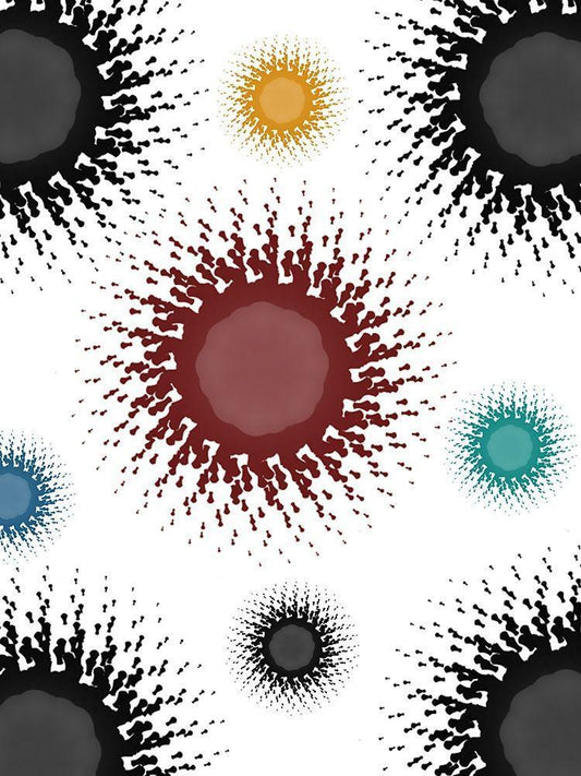 Image Only