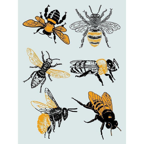 Bees Black Modern Wood Framed Art Print with Double Matting by Phillip, Jamie