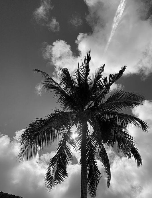 Image Only