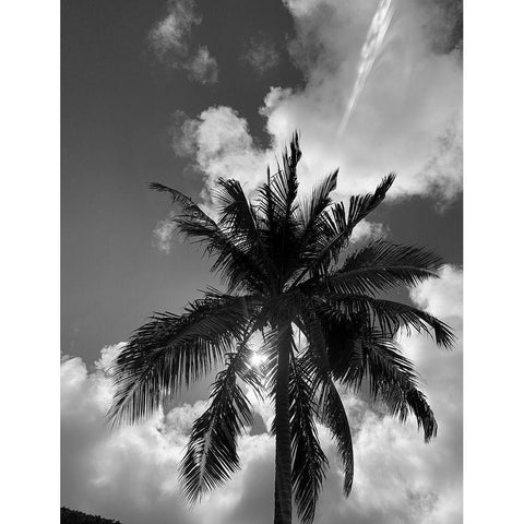 BVI 4 Black Modern Wood Framed Art Print by Phillip, Jamie