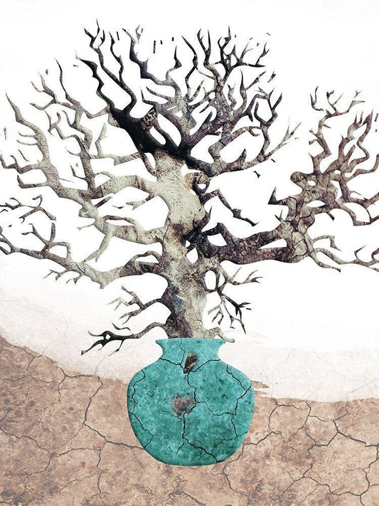 Image Only