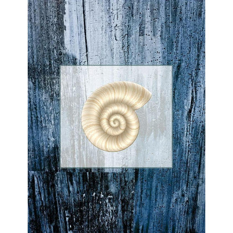 Sea Shell Black Modern Wood Framed Art Print by Phillip, Jamie