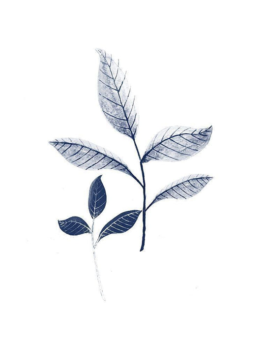 Image Only