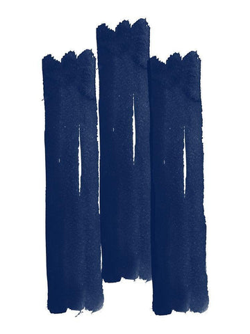 Blue Botanical 4 Black Ornate Wood Framed Art Print with Double Matting by Phillip, Jamie