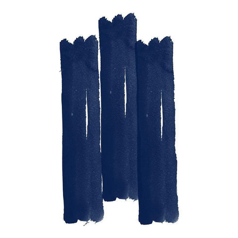 Blue Botanical 4 Black Modern Wood Framed Art Print with Double Matting by Phillip, Jamie