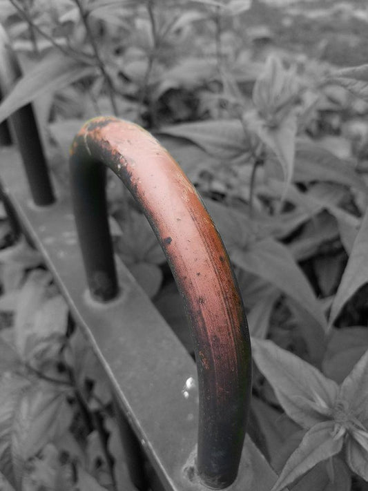 Image Only