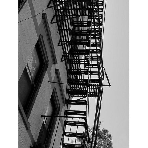 Escape 1 White Modern Wood Framed Art Print by Phillip, Jamie