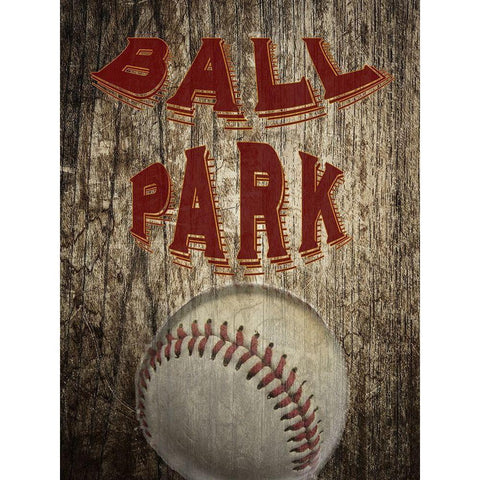 Ball Park Black Modern Wood Framed Art Print with Double Matting by Phillip, Jamie