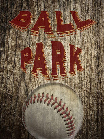 Ball Park White Modern Wood Framed Art Print with Double Matting by Phillip, Jamie