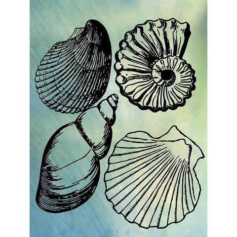 Bath Shells Black Modern Wood Framed Art Print with Double Matting by Phillip, Jamie