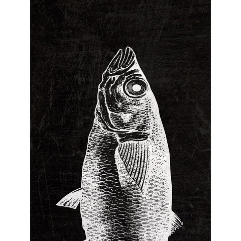 Black Fin White Modern Wood Framed Art Print by Phillip, Jamie