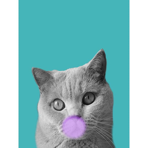 Bubble Cat White Modern Wood Framed Art Print by Phillip, Jamie