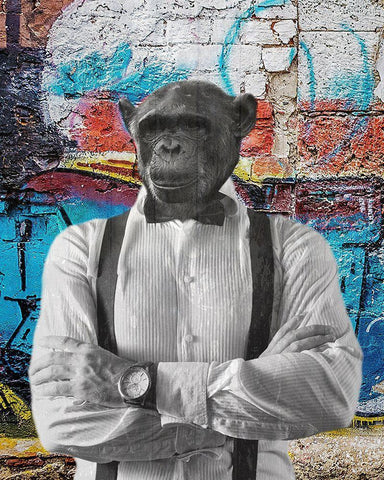 Street Monkey 2 White Modern Wood Framed Art Print with Double Matting by Phillip, Jamie