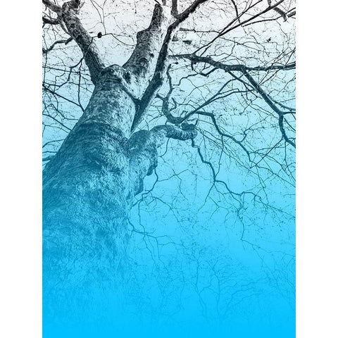 Blue Sky Black Modern Wood Framed Art Print with Double Matting by Phillip, Jamie