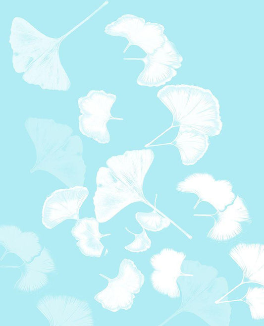 Image Only