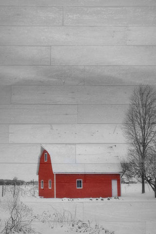 Red Barn White Modern Wood Framed Art Print with Double Matting by Phillip, Jamie