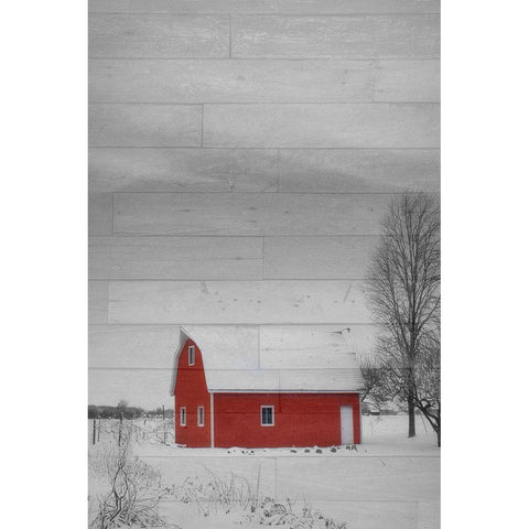 Red Barn White Modern Wood Framed Art Print by Phillip, Jamie