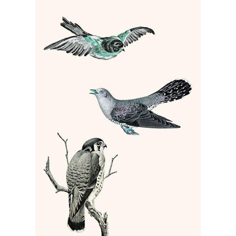 Birds 1 White Modern Wood Framed Art Print by Phillip, Jamie