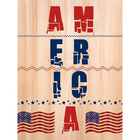 America White Modern Wood Framed Art Print by Phillip, Jamie