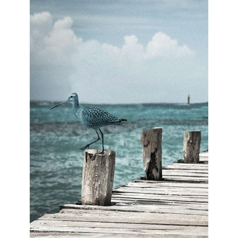 Jetty White Modern Wood Framed Art Print by Phillip, Jamie