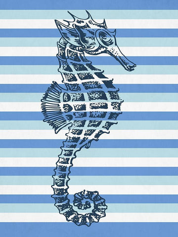 Seahorse 1 White Modern Wood Framed Art Print with Double Matting by Phillip, Jamie