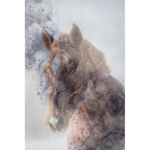 Mystic Horse White Modern Wood Framed Art Print by Phillip, Jamie