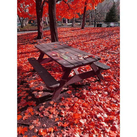 Silent Nature 7 Gold Ornate Wood Framed Art Print with Double Matting by Phillip, Jamie