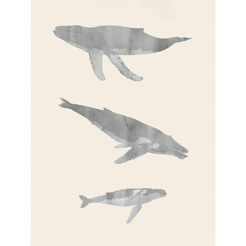 Whale Trio Black Modern Wood Framed Art Print with Double Matting by Phillip, Jamie