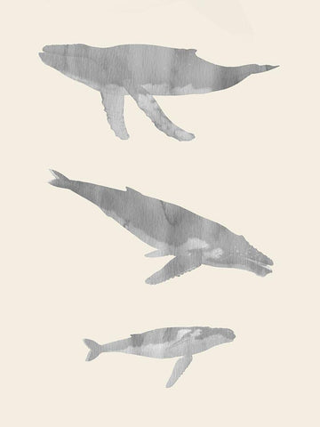 Whale Trio White Modern Wood Framed Art Print with Double Matting by Phillip, Jamie