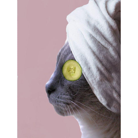 Spa Cat  White Modern Wood Framed Art Print by Phillip, Jamie