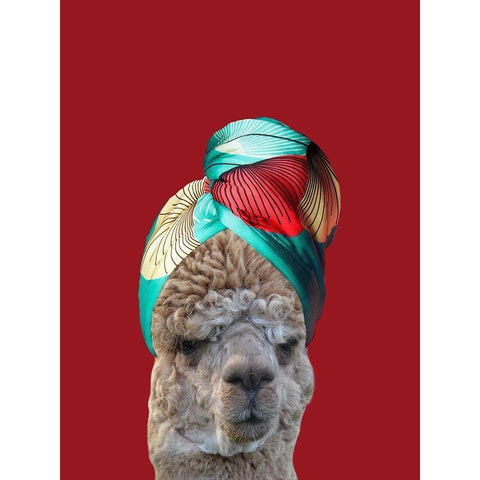 Beauty Llama White Modern Wood Framed Art Print by Phillip, Jamie