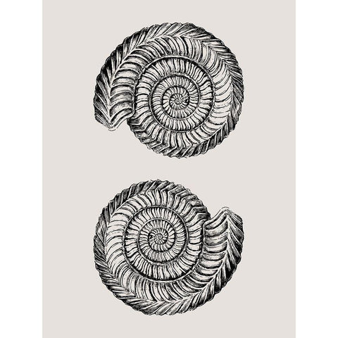 Vintage Ocean White Modern Wood Framed Art Print by Phillip, Jamie