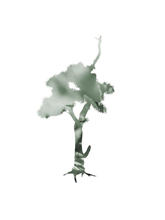Image Only