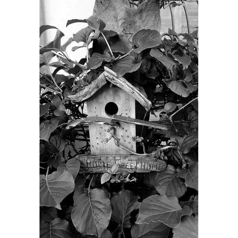 Bird House Black Modern Wood Framed Art Print with Double Matting by Phillip, Jamie