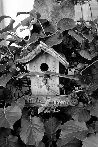 Bird House White Modern Wood Framed Art Print with Double Matting by Phillip, Jamie