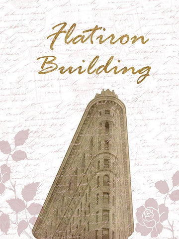 Flatiron NY Black Ornate Wood Framed Art Print with Double Matting by Phillip, Jamie