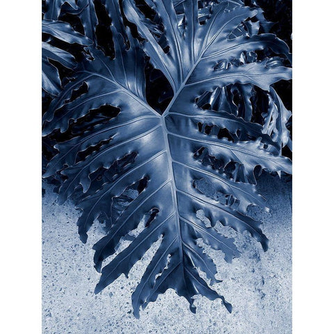 Garden White Modern Wood Framed Art Print by Phillip, Jamie