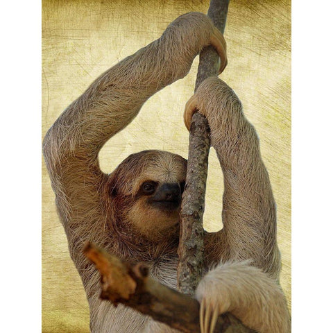 Hang On White Modern Wood Framed Art Print by Phillip, Jamie