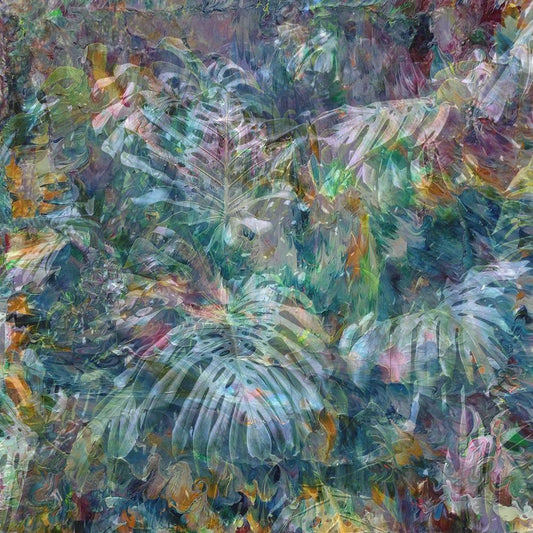 Image Only